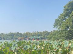 -湖畔居茶楼(湖滨店)