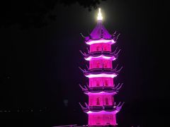 -君来湖滨饭店·玫瑰园