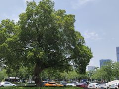 -增城图书馆(荔景大道辅路店)