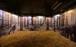 -恐龙探索乐园(磁器口店)