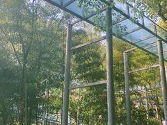 -雅鲁激流探险漂流