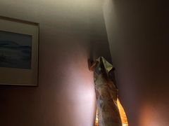 -璞·澐间影院式足道SPA(尚悦湾店)
