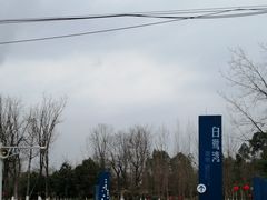 -白鹭湾湿地公园