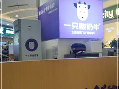 -一只酸奶牛(百联南岸上海城店)