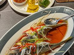 -前海沿·青岛菜(大拇指广场石老人店)