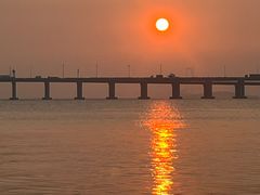 -宝安西湾红树林湿地公园