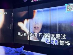 -温莎KTV(珠江路店)