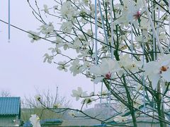 -三里河公园