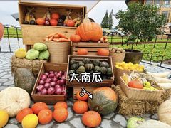 -中国天府农业博览园