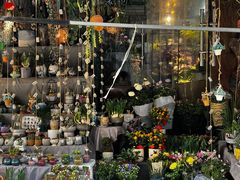 -循礼门鲜花花市(武汉循礼门店)