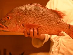 -镹·鱼料理  国产鱼使用店