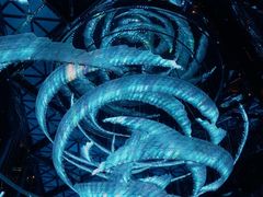 -西安W酒店·WEI全味西餐厅