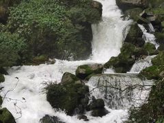 -鹿院坪生态旅游景区