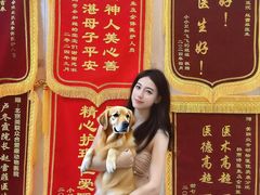-美联众合爱康动物医院•复杂内科•肿瘤科•牙科•腔镜诊疗中心