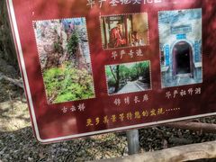 -北京上方山国家森林公园