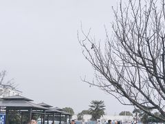-洋县服务区-停车场