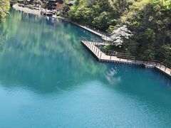 -石台牯牛降景区
