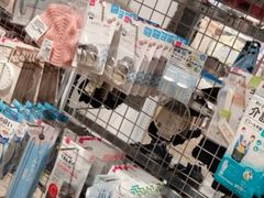 -大创十元超市(苏州泉屋店)