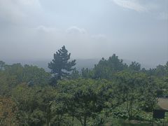 -雨花胜境