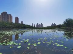 -前关湿地公园