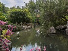 -河源客天下-温泉小镇