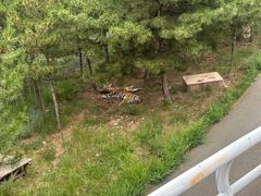 -大青山野生动物园