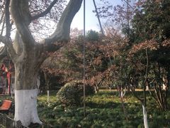 -杭州黄龙洞