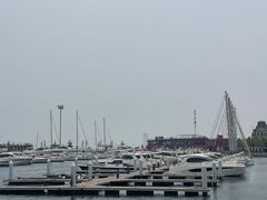 -东港音乐喷泉广场