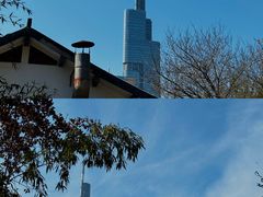 -北极阁公园