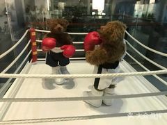 -济州岛泰迪熊博物馆