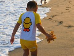 -西涌国际滨海旅游区