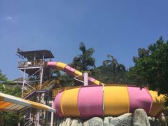 -重庆海昌加勒比海水世界