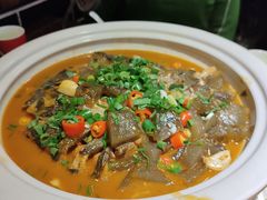 -陈厨(新苑小区店)