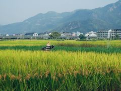 -楠溪江风景名胜区