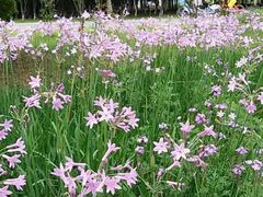 -艾溪湖湿地公园