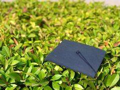 -郑州西亚斯学院-体育学院