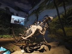 -自贡恐龙博物馆