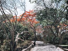 -乌鲁瓦图寺