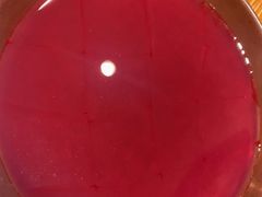 -临江门重庆老火锅(德新里店)