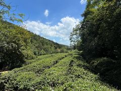 -宝界山林公园