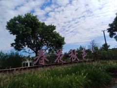 -春花秋色城市公园