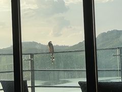 -天目湖涵田度假村