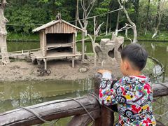 -上海野生动物园老虎餐厅