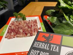 -潘小辣鲜肉老火锅