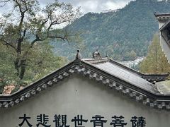 -九华山风景区月身宝殿