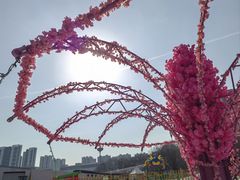 -沈阳奥体冰雪嘉年华
