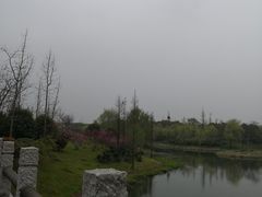 -尚贤河湿地