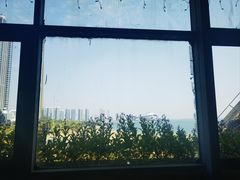 -蠔爺王志德生蚝馆(金沙湾店)