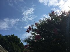 -达拉斯 沃斯堡国际机场