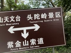 -紫金山山顶公园
